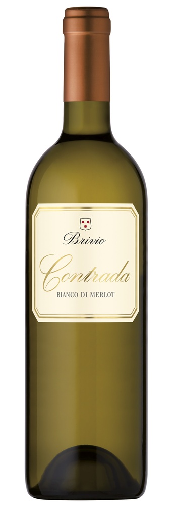 CONTRADA 2025